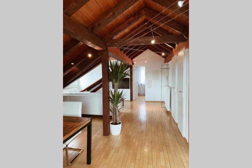 *Dreilaendereck* Wifi+ Balkon+Garage Basel Mulhouse Daire Maulburg Dış mekan fotoğraf
