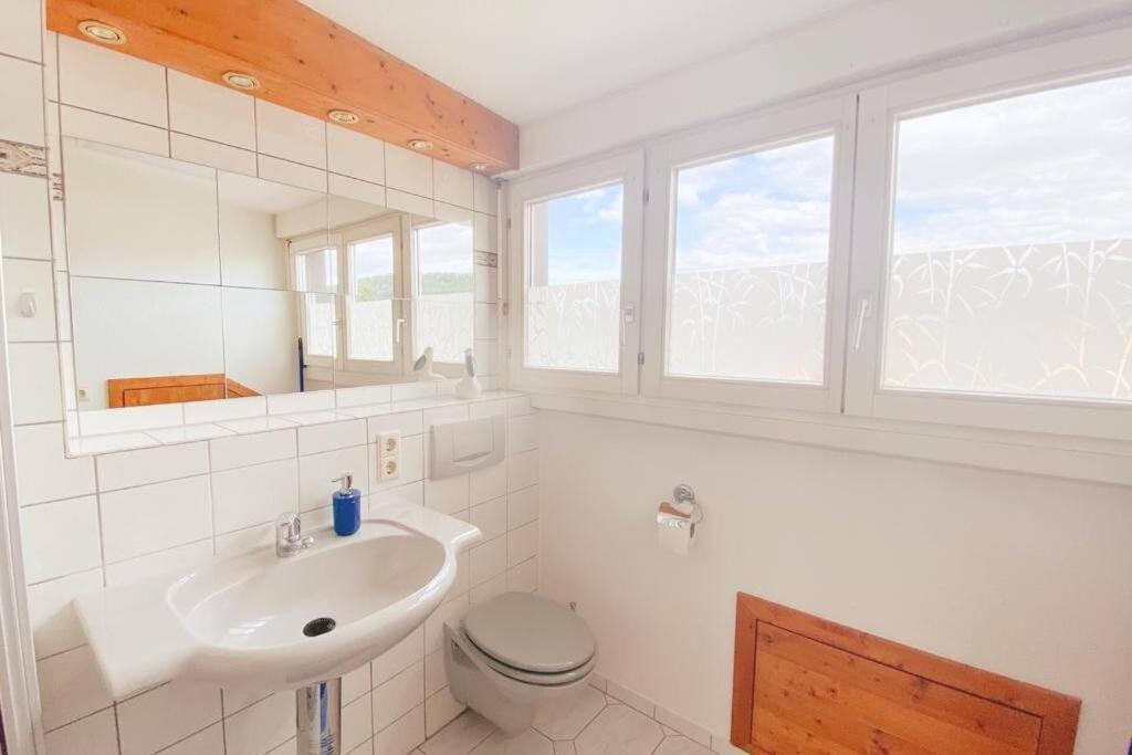 *Dreilaendereck* Wifi+ Balkon+Garage Basel Mulhouse Daire Maulburg Dış mekan fotoğraf